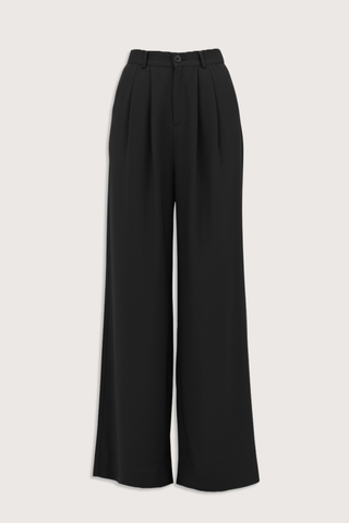 flat lay Fabi Pant Black Tailored fit
High waisted
Double pleated