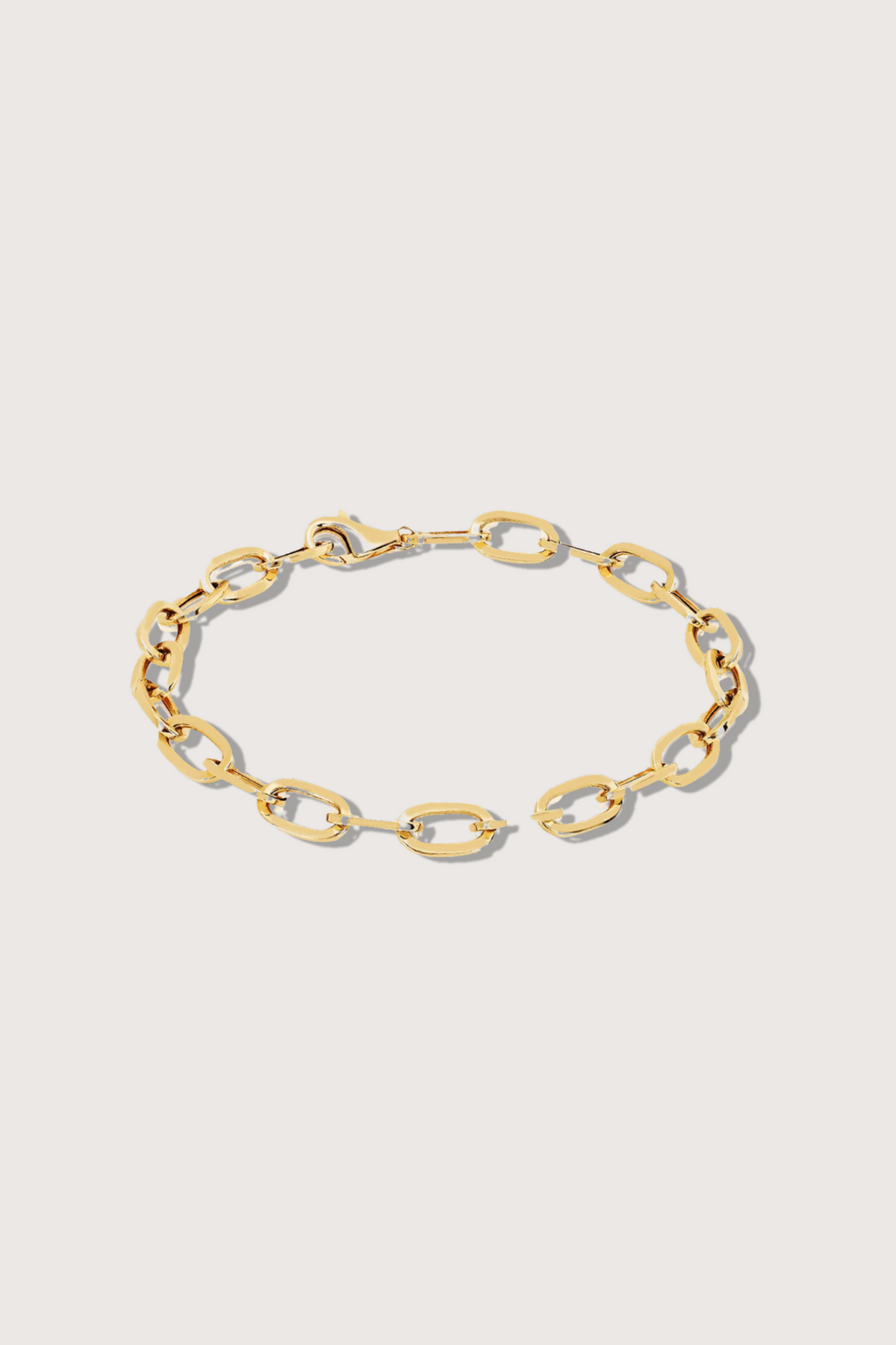 flat lay Jumbo Link Bracelet 14k gold