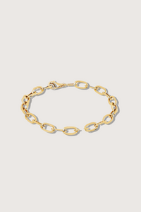 flat lay Jumbo Link Bracelet 14k gold