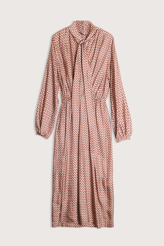 flat lay Silk Printed Long Sleeve Dress rose silk Maxi dress
Tunic neckline
Removable tie at the neck
Waist seam with pleats and gathers
Wide sleeves with elastic cuffs