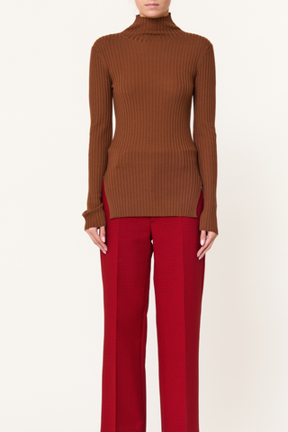 front profile model wearing T-Neck Merino Fitted Top toasted brown Medlar long-sleeved turtleneck
Silk yarn
All-over vertical ribbed knit
Soft high collar
Asymmetric hemline
Deep, rounded cut-outs at the hips