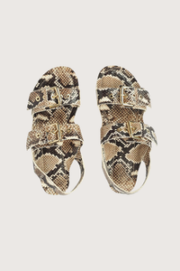 top profile The Double Buckle Sandal Python Double Buckle sandal Italian calfskin
Leather wrapped insole and leather sole