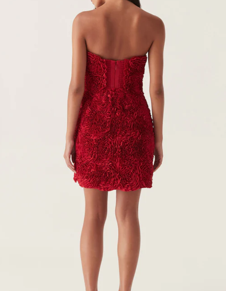 Gazer Rosette Mini Dress Scarlet Red