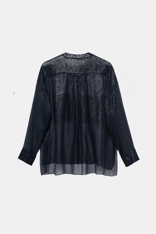 Shimmering Shine Blouse