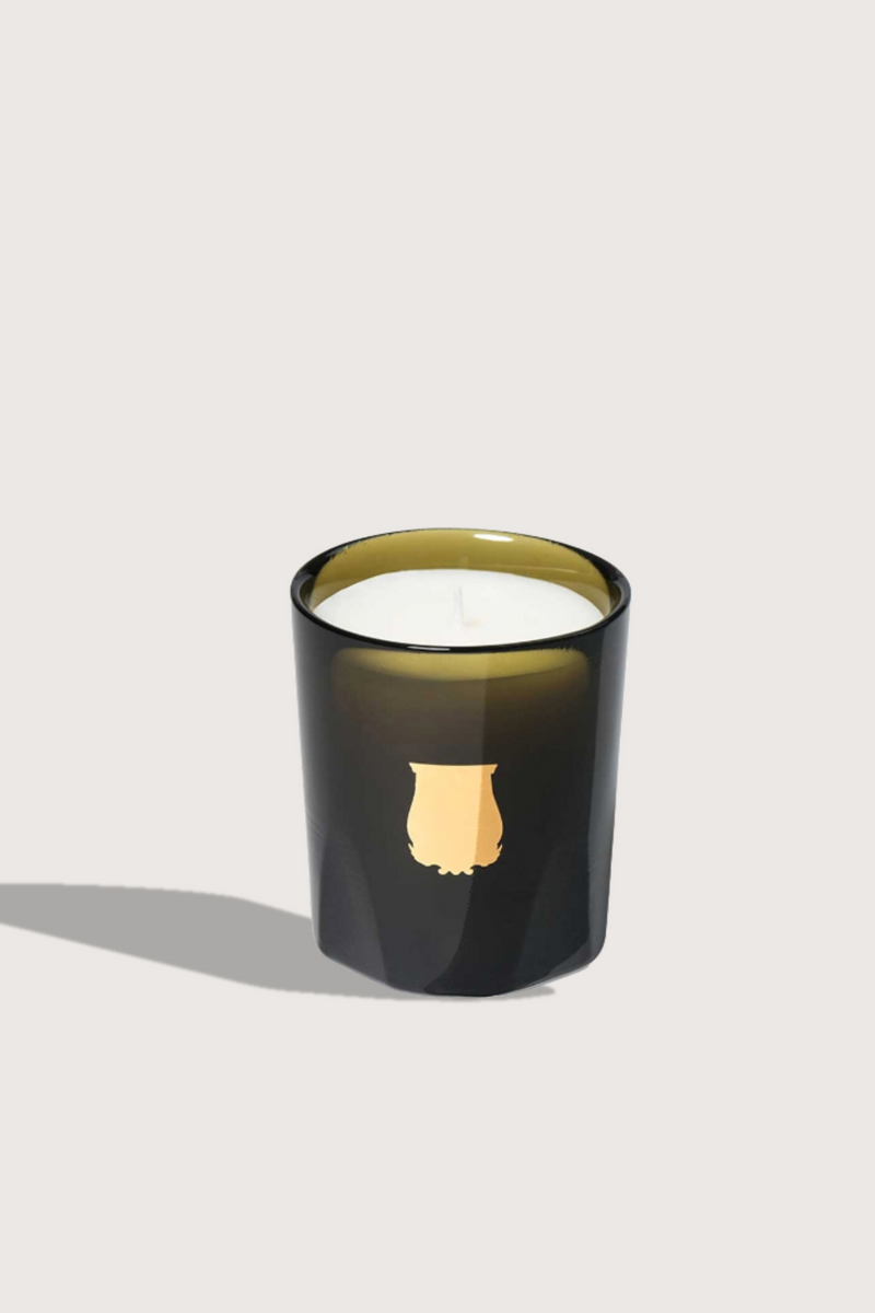 Gabriel (Gourmand Chimney Fire) 70G