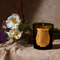 Spiritus Sancti (Incense) 270G